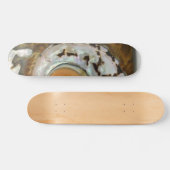 Skateboard Sea Shell (Horz)