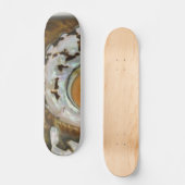 Skateboard Sea Shell (Recto)