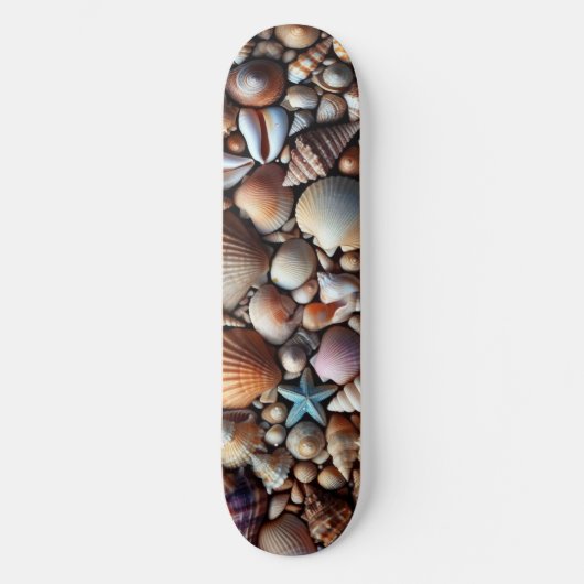 Skateboard Sea Shells (Recto)