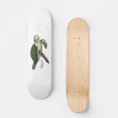 Skateboard Sea turtle cartoon (Recto)