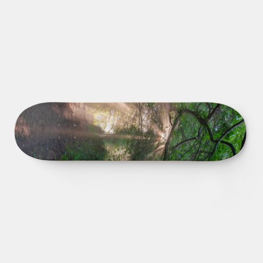 Skateboard sentier forestier (Horz)