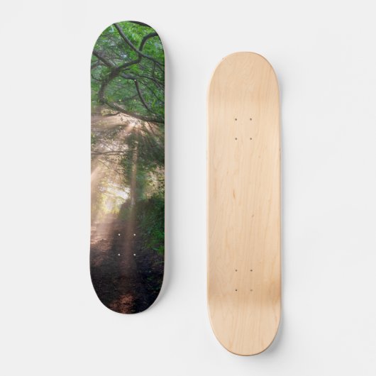 Skateboard sentier forestier (Recto)