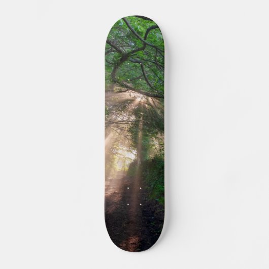 Skateboard sentier forestier (Recto)