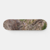 Skateboard Sept Chutes Colorado (Horz)