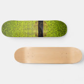 Skateboard Séquence de Parties scintillant de chaux Disco Gli (Horz)