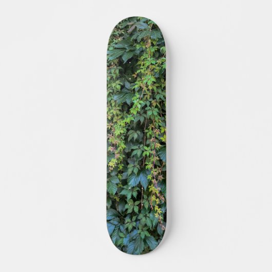 Skateboard Serene Green Ivy Wall Suspendre Vins Plantes Feuil (Devant)