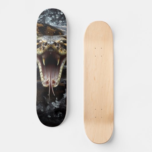 Skateboard Serpent (Recto)