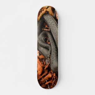 Skateboard Serpent à croupion