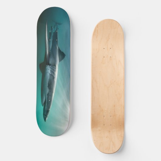 Skateboard Shark hungry Predator. (Recto)
