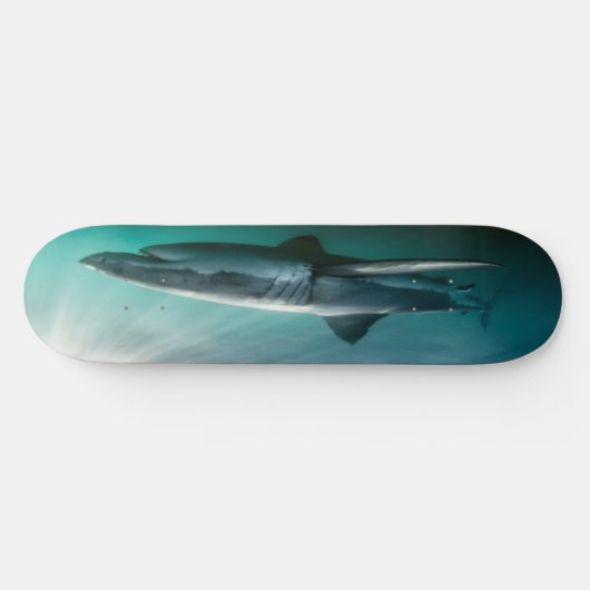 Skateboard  Shark hungry Predator. (Horz)