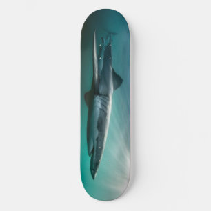 Skateboard  Shark hungry Predator.
