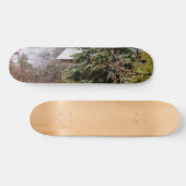 Skateboard Shed abandonné (Horz)