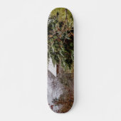 Skateboard Shed abandonné (Devant)