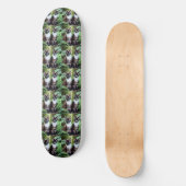 Skateboard Siamese Cat Twins, Skate (Recto)