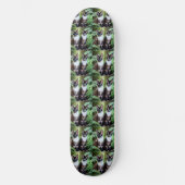Skateboard Siamese Cat Twins, Skate (Recto)