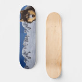 Skateboard Sibérien Husky (Recto)