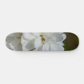 Skateboard Silky Magnolia (Horz)