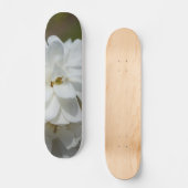 Skateboard Silky Magnolia (Recto)
