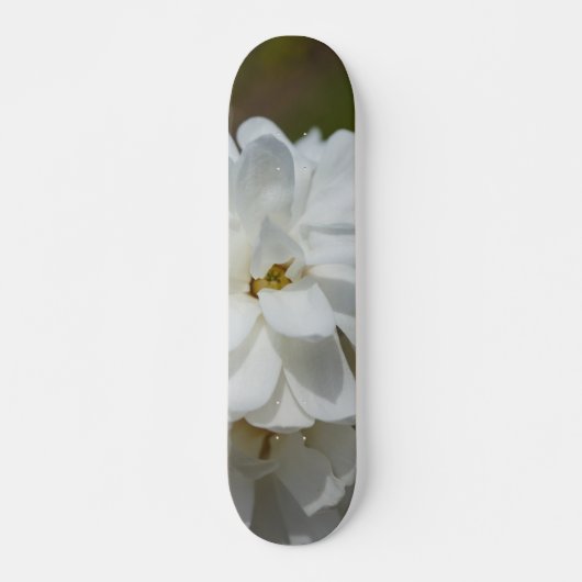 Skateboard Silky Magnolia (Devant)