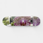 Skateboard Singapour (Sanskrit pour Lion City). National (Horz)