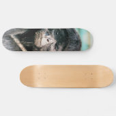 SKATEBOARD SINGES (Horz)