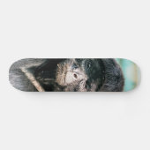 SKATEBOARD SINGES (Horz)