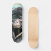 SKATEBOARD SINGES (Recto)