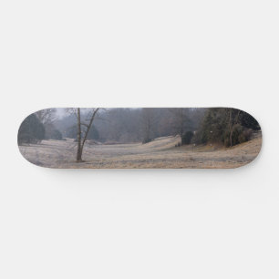 Skateboard Skate Foggy Meadow