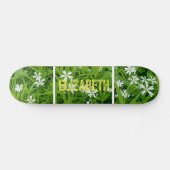 Skateboard Skate naturel (Horz)