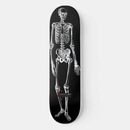 Skateboard Skelo 001 (Recto)