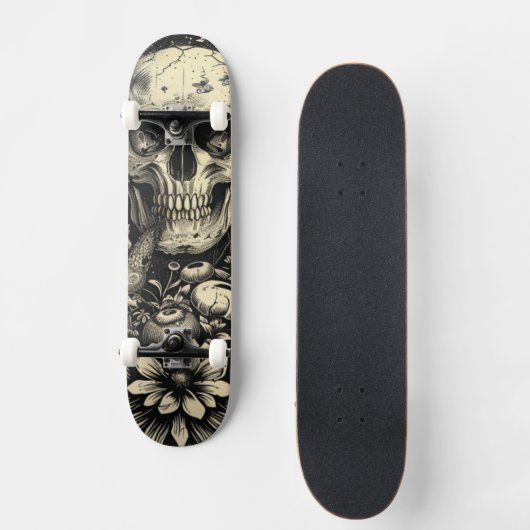 Skateboard Skull (Recto)