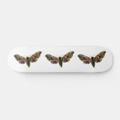 Skateboard Smerinthus ocellata - Image couleur faucon-teint (Horz)