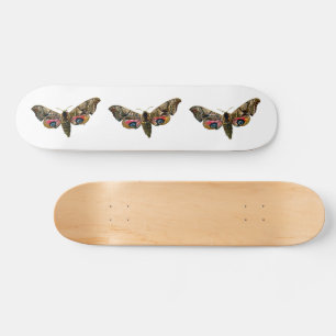 Skateboard Smerinthus ocellata - Image couleur faucon-teint
