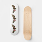 Skateboard Smerinthus ocellata - Image couleur faucon-teint (Recto)
