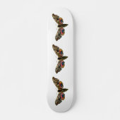 Skateboard Smerinthus ocellata - Image couleur faucon-teint (Devant)