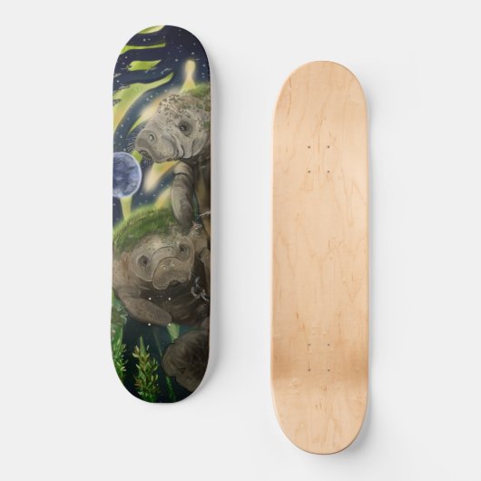 Skateboard Solde fragile Manatee (Recto)
