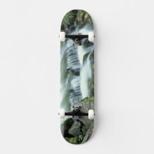 Skateboard Source aux fougères, Parc national de Yosemite