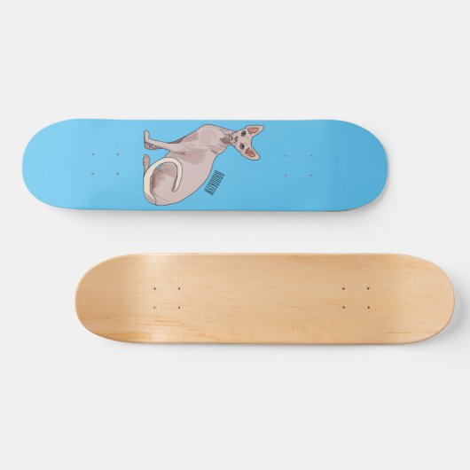 Skateboard Sphynx cat (Horz)