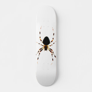Skateboard Spider sdcn