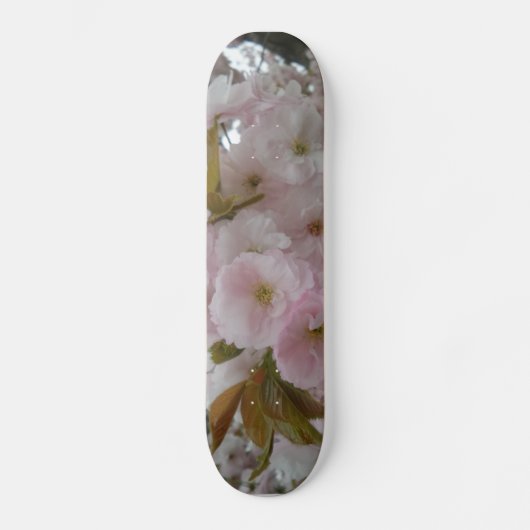 Skateboard Spring Beauty Skateboards (Recto)