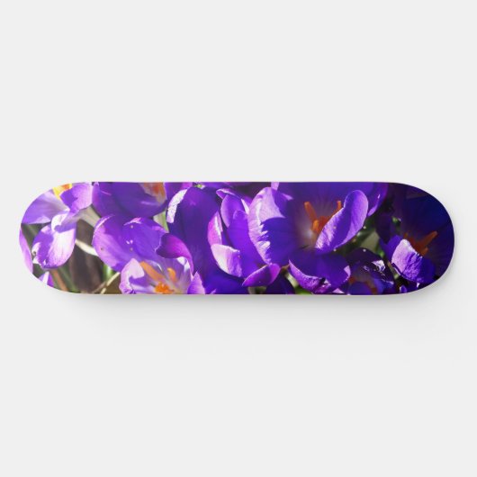 SKATEBOARD SPRING CROCUS (Horz)