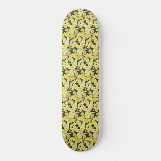 Skateboard Spring Primroses (Recto)