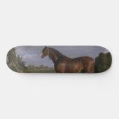 Skateboard Stallion de Clydesdale (Thoroughbred Horse) (Anima (Horz)