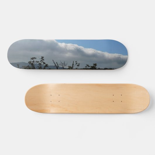 SKATEBOARD STIJL EN DESIGN (Horizontaal)
