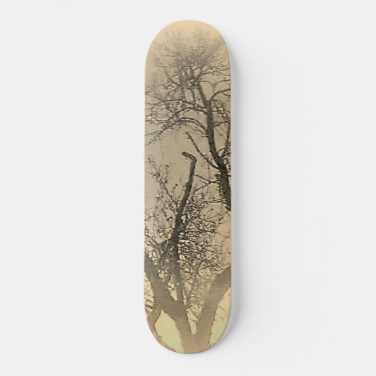 SKATEBOARD STIJL EN DESIGN (Voorkant)