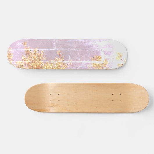 SKATEBOARD STIJL EN DESIGN (Horizontaal)
