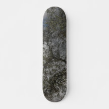 SKATEBOARD STIJL EN DESIGN