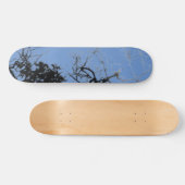 SKATEBOARD STIJL EN ONTWERP (Horizontaal)