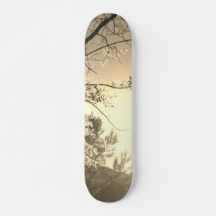 SKATEBOARD STIJL EN ONTWERP