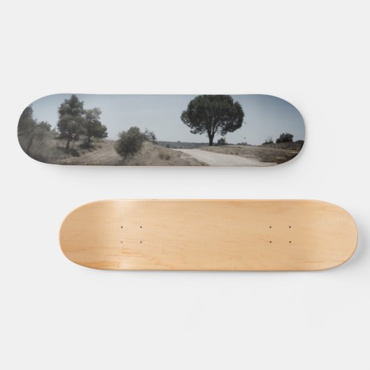 SKATEBOARD STIJL ONTWERP (Horizontaal)